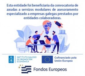 Axudas a Servizos Modulares de Asesoramento Especializado (FEDER)